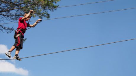 Treetop Circuit